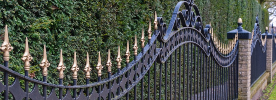 Black painted iron fence with golden spikes before a conifer hed